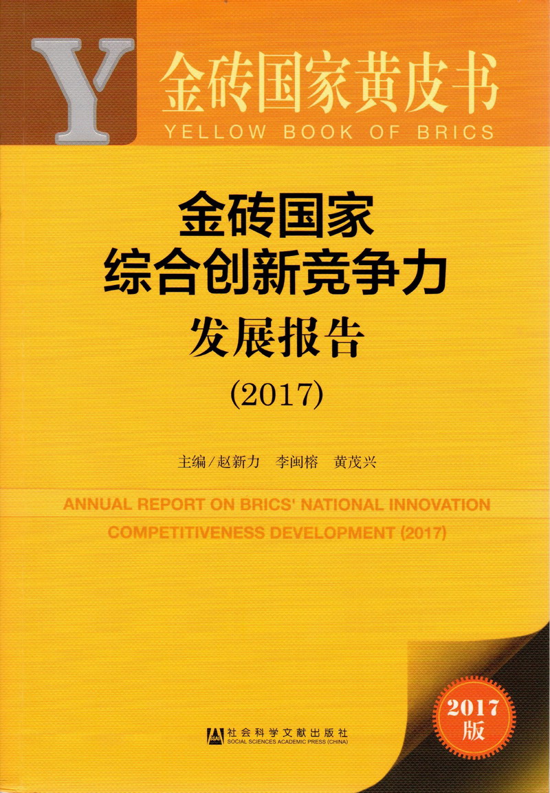 黄色爆操口交大鸡巴视频直接看金砖国家综合创新竞争力发展报告（2017）